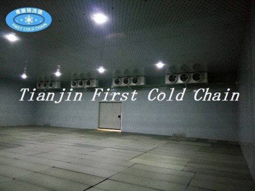 Китай поставляет высокоэффективные холодильные камеры / холодильные камеры для замороженных продуктов