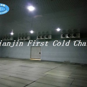 La Chine fournit des chambres froides / chambres froides efficaces pour les produits surgelés