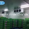 Questions nécessitant une attention particulière lors du refroidissement initial du stockage à froid