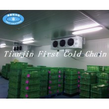 Matters needing attention in the initial cooling of Cold Storage
