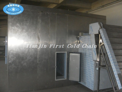 China high quality  Fluidization quick freezer/ Fluidized IQF freezer machine for fruits.