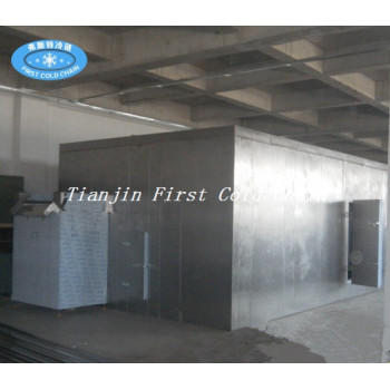 China IQF freezer for freeze Vegetable or Fruit /French Fries Fluidized bed freezer/Quick Freezer