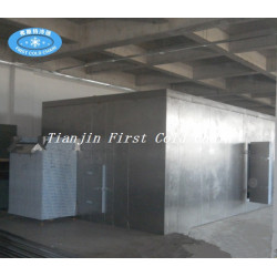 China IQF freezer for freeze Vegetable or Fruit /French Fries Fluidized bed freezer/Quick Freezer