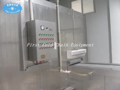 Innovative Spiral Freezer from China: Ideal for Seafood Factories Seeking Quick and Efficient Cooling Solutions