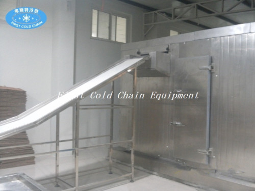 China high quality Spiral IQF Freezer 500kg/h for dumplings Shrimp or Fish