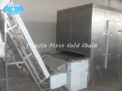 China first cold chain Full automation 500kg/h Frozen french fries production line