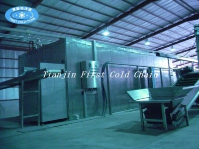 Línea de producción de papas fritas industriales / maquinaria para papas fritas congeladas