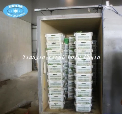 Máquina estándar internacional de pre-enfriamiento al vacío para vegetales y frutas / pre-enfriadores