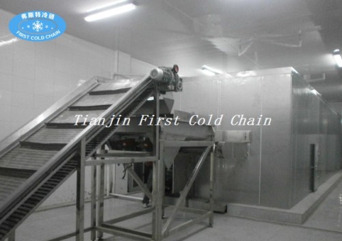 Cadena de producción de las patatas fritas / patatas fritas congeladas automáticas excelentes para China
