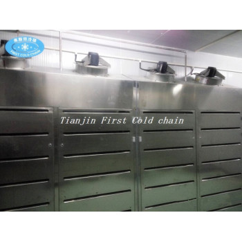 China Low Temperature High Humidity Thawing Equipment for meat products