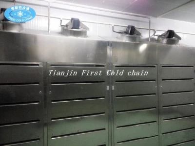 China Low Temperature High Humidity Thawing Equipment for meat products