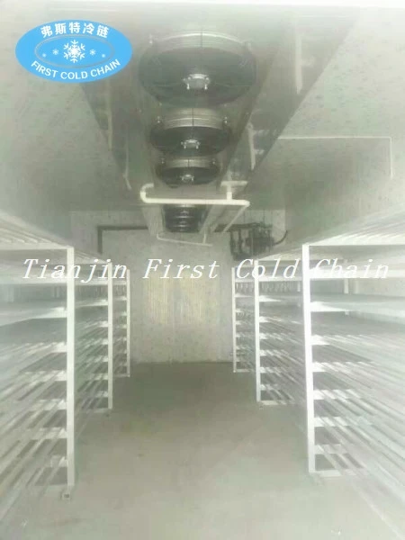 Thawing room equipment for Frozen Pork Beef Seafood and all kinds of meats