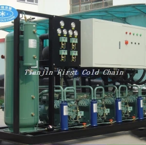 Frozen Chicken with tunnel freezer compressor Condensing Unit from China first cold chain