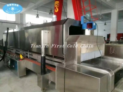 Seafood/shrimp low temperature 3000kg/h Liquid Nitrogen Tunnel Freezer