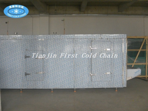 China Factory Supply cost effective Tunnel Freezers /Tunnel Freezing