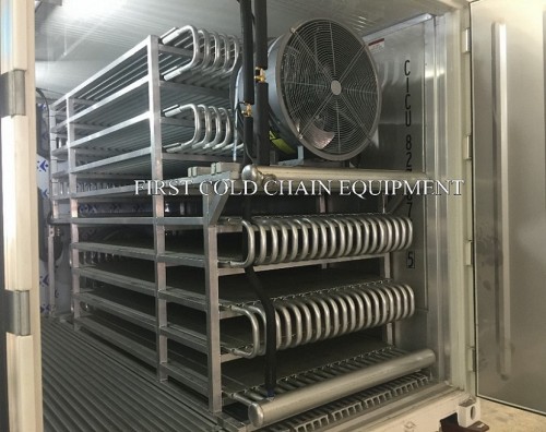 Entrepôt frigorifique / congélateur à air pulsé en Chine