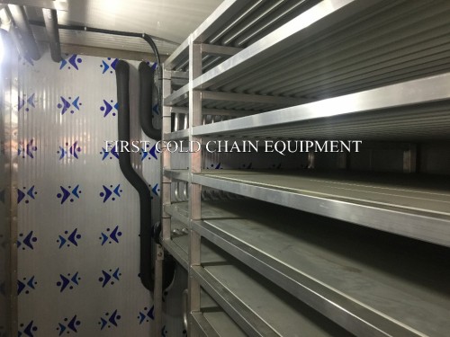 China High Quality Moving blast freezer / container freezer for food factory