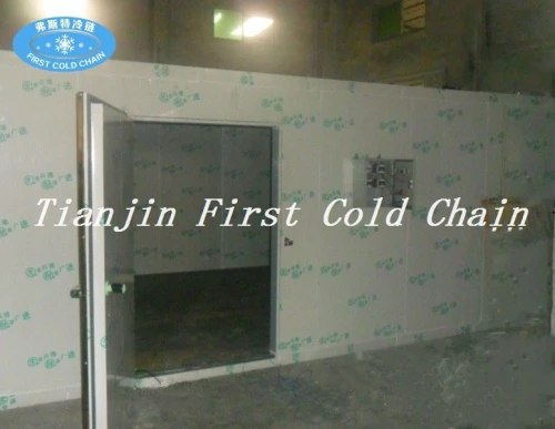 China hot sale Industrial Refrigerator/ Cold Room for frozen meatand keep fresh