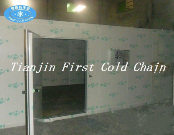China Venta caliente Industrial Refrigeraor / cámara frigorífica para alimentos de carne congelada y mantener fresco