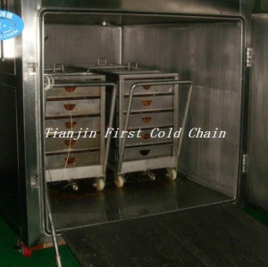 Máquina estándar internacional de pre-enfriamiento al vacío para vegetales y frutas / pre-enfriadores