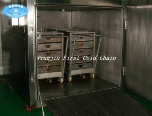 Máquina estándar internacional de pre-enfriamiento al vacío para vegetales y frutas / pre-enfriadores