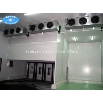 Air cooled generator DD SERIES evaporative air cooler for cold room