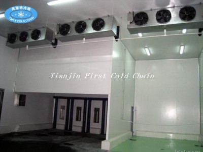 Générateur à condensation par air DD SERIES, refroidisseur d'air à évaporation pour chambre froide