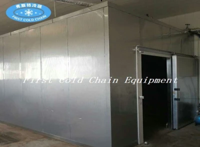 Excellent Frozen Chicken Meat Thawing Machine Meat Unfreezing Machine