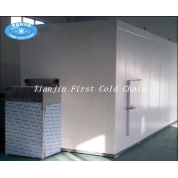 Fluidized Quick Freezer for Strawberries/Vegetable IQF Quick Freezing Equipment in China