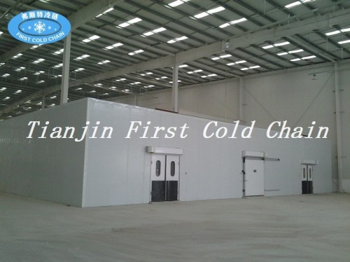 Depósito en frío de las ventas calientes de China / cámara fría, sitio de alta calidad del refrigerador