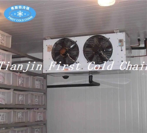 Suministro de China pequeña cámara fría combinada con Usado para almacenamiento de frutas / verduras