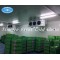 High quality Cold Storage / China Cold Room for seafood from China