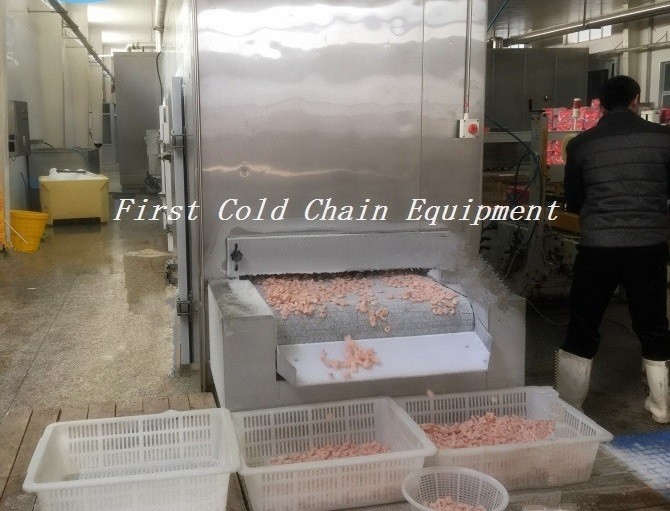 tunnel freezer for shrimp