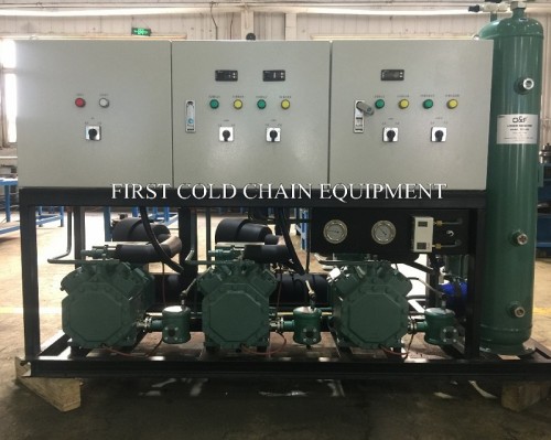 Unidad de compresor de refrigeración Unidad de condensación de congelación rápida