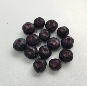 Vegetable and Fruit Vacuum Freeze Dry Machinery
