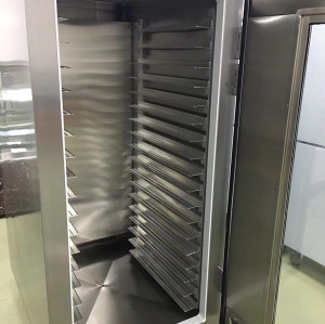 Small Thawing machine 200kg/time for pork beef etc meat unfreezing in China