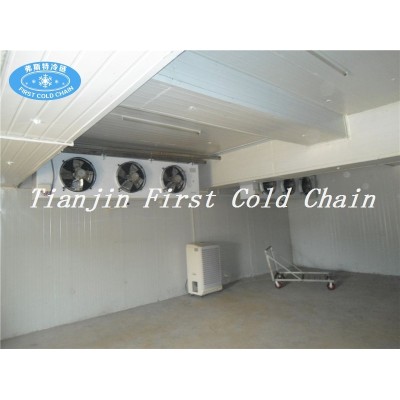 China supply High quality Food Cold Storage/ Cold Room