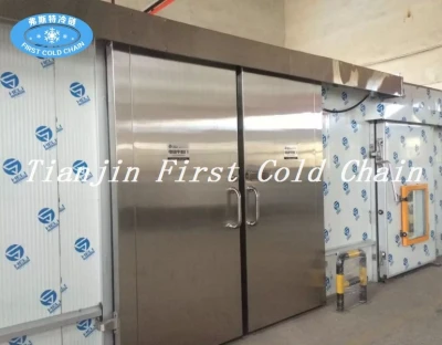 China high quality professional Cold Storage or Cold Room from first cold chain