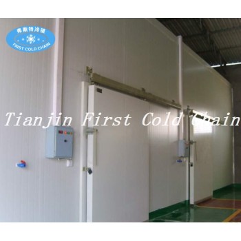 China supply high effective  Cold Storage / Cold  Room for frozen food