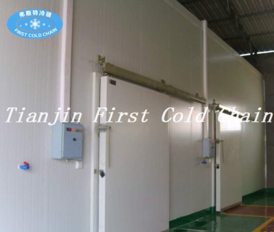 China supply high effective  Cold Storage / Cold  Room for frozen food