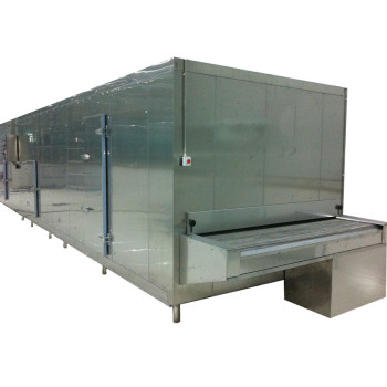 Tunnel Freezer for frozen chicken and other pasta food 500kg/h in China