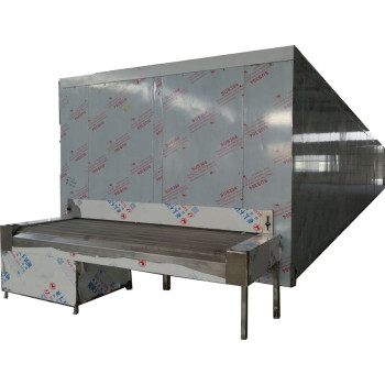 Unleash the Potential of Your Frozen Food Business with China's FSW1500 Tunnel Freezer