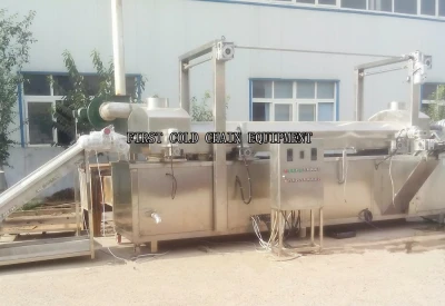 Excellent Automatic 300kg/h Frozen French Fries Production Line in China