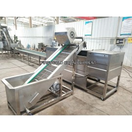 100 кг / ч Forzen французский картофель фри машина для производства картофеля фри фабрики производственной линии
