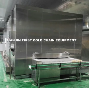 Congelador de túnel de impacto industrial eficiente y versátil para fábricas de alimentos congelados: libere el poder de las oportunidades ODM