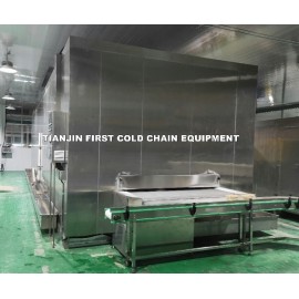 China's Leading IQF Freezer Supplier: Impingement Tunnel Freezer for Freeze Cake