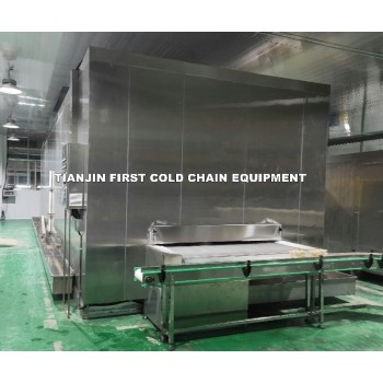 China's Expert in Seafood Freezing - Impact Tunnel Freezer: Effective, and Reliable for Beef Freeze
