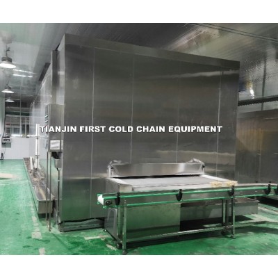 FIW1000 Impingement Linear Freezer: Top-Quality Seafood Freezing Solution from China's Leading 