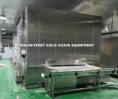Превосходная технология замораживания от ведущего китайского поставщика морозильников IQF — линейная морозильная камера с ударным механизмом