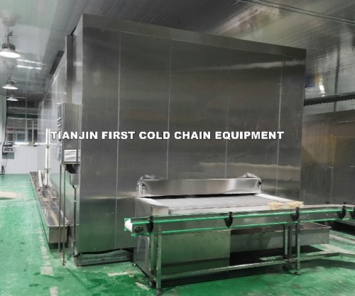 Congelador de túnel de impacto IQF / Máquina de congelación rápida / Congelador de túnel de correa de impacto automática